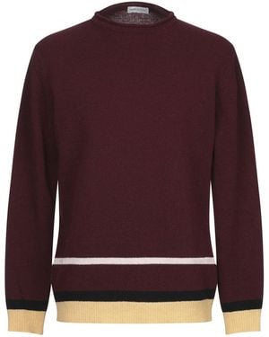 Daniele Alessandrini Jumpers - Purple