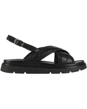 Baldinini Sandals Leather - Black