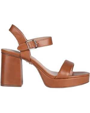 Steve Madden Sandals - Brown