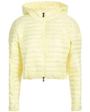 Canadian Puffer - Yellow