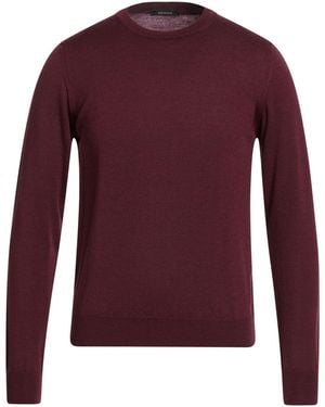 Bellwood Sweaters - Purple