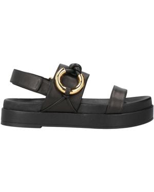 Coccinelle Sandals - Black