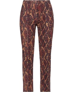 PT Torino Trouser - Red