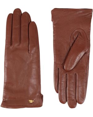 The Bridge Gloves - Brown