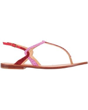 Maliparmi Thong Sandal - Pink
