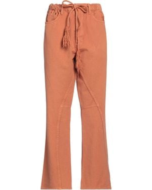 Dr. Collectors Hose - Orange