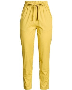 Alpha Studio Pants - Yellow