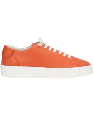 Fabiano Ricci Trainers - Orange