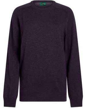 Alan Paine Jumper - Blue