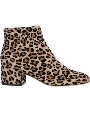 Sergio Rossi Ankle Boots - Brown