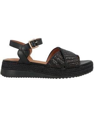 Geox Espadrilles - Black