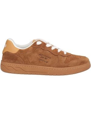 Acbc Sneakers - Marrone
