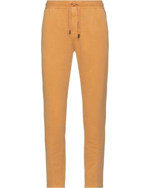 Circolo 1901 Trouser - Multicolour