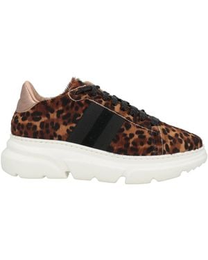 Stokton Sneakers - Brown