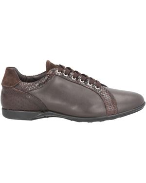 Roberto Botticelli Trainers - Brown
