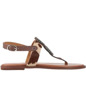 Divine Follie Thong Sandal Leather - Brown