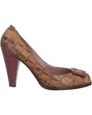 Studio Pollini Pumps Leather - Brown