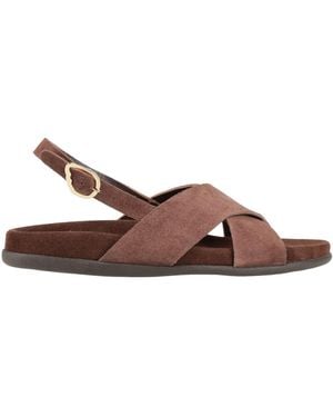 Ancient Greek Sandals Sandals - Brown