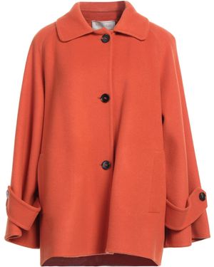 Antonelli Coat Virgin Wool, Polyamide - Red