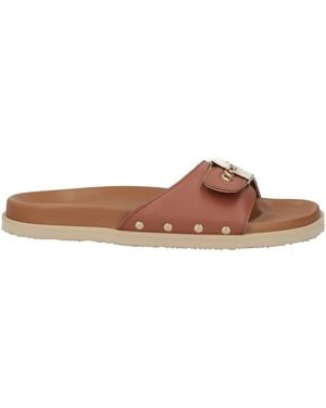 Scholl Sandals - Brown