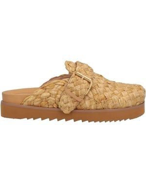 Ash Mules & Clogs - Braun