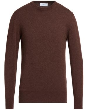 Lardini Jumper - Brown
