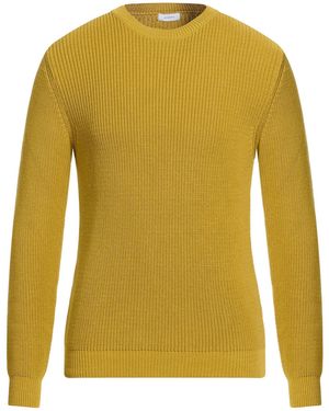 Stilosophy Sweaters - Yellow