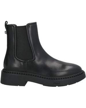Ash Ankle Boots - Black