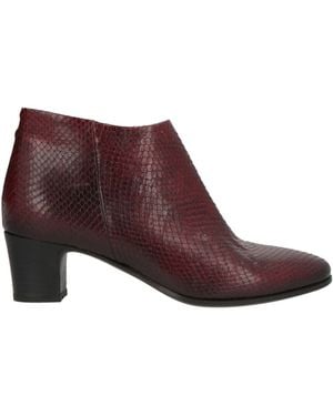 Pantanetti Ankle Boots Leather - Purple
