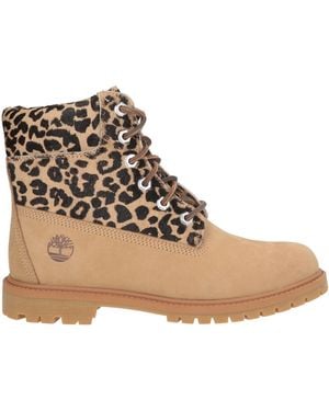 Timberland Ankle Boots Leather - Brown