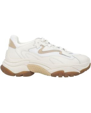 Ash Ivory Sneakers Leather, Textile Fibers - White