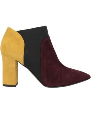 Studio Pollini Ankle Boots Leather - Brown