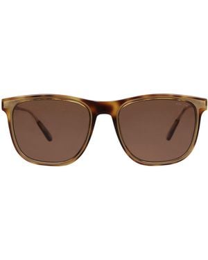 Police Sonnenbrille - Braun