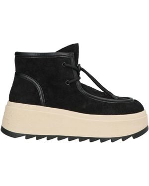 Ash Bottines - Noir