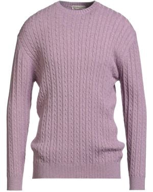 Cashmere Company Jumper Wool, Cashmere, Elastane - Purple