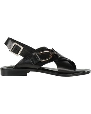 Pollini Sandals - Black