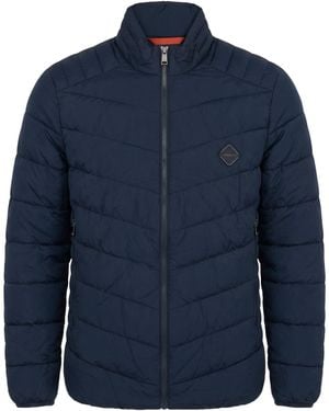 Hackett Puffer - Blue