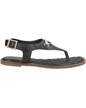 Barbour Thong Sandal Leather - Black