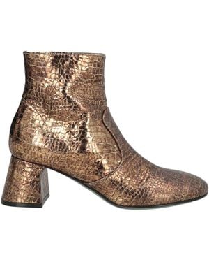 Paola D'arcano Ankle Boots Leather - Brown