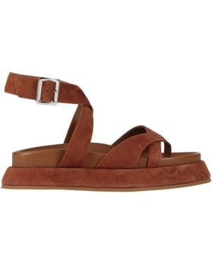 GIA RHW Thong Sandal - Brown