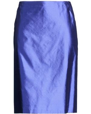 Clips Midi Skirt Silk - Blue