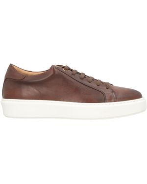 Corvari Trainers Leather - Brown