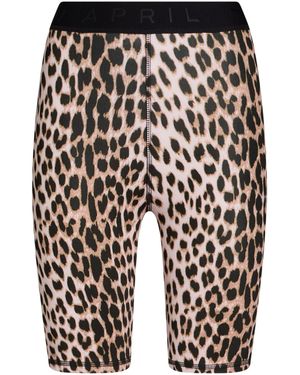 Oh April Shorts & Bermuda Shorts Polyester, Elastane - Black