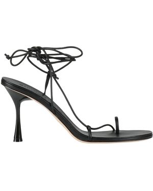 STUDIO AMELIA Thong Sandal - Black
