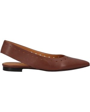 Testoni Ballet Flats Calfskin - Brown