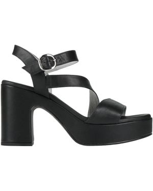 Nero Giardini Sandals - Black