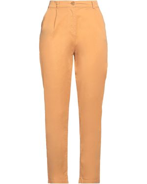 Zhelda Marigold Pants Cotton, Elastane - Orange