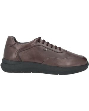 Stonefly Sneakers Leather - Brown