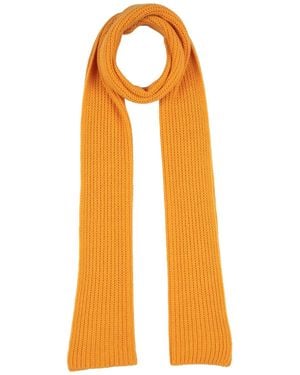 Daniele Fiesoli Scarf Cashmere - Orange