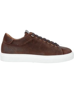 Pollini Sneakers - Brown